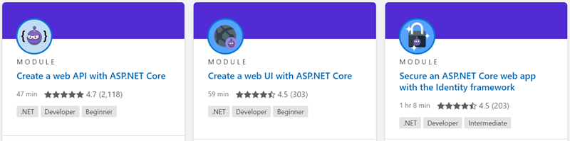 asp.net core modules